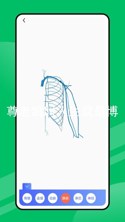 尊老凯时人生就是博