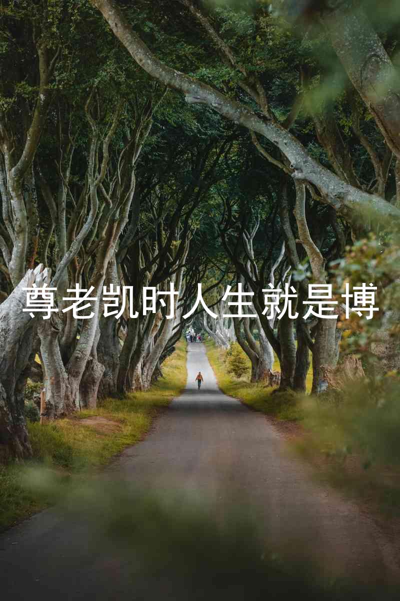 尊老凯时人生就是博