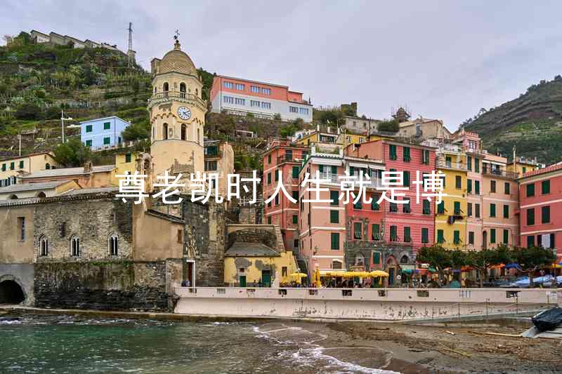 尊老凯时人生就是博