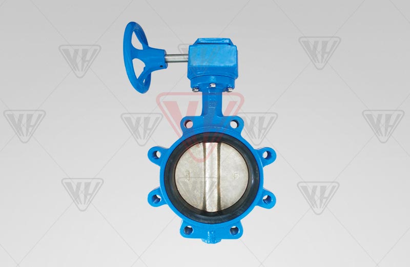 LT-type butterfly valve-Shanghai Kaihe Valve Group Co., Ltd.