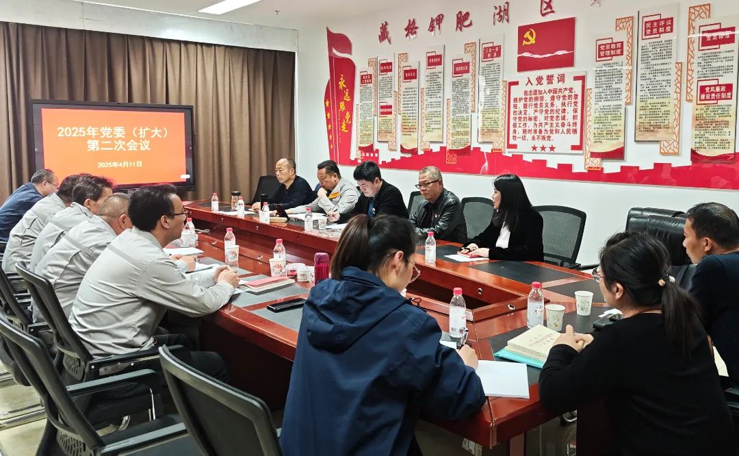 龙8头号玩家钾肥党委召开第二次（扩大）会议