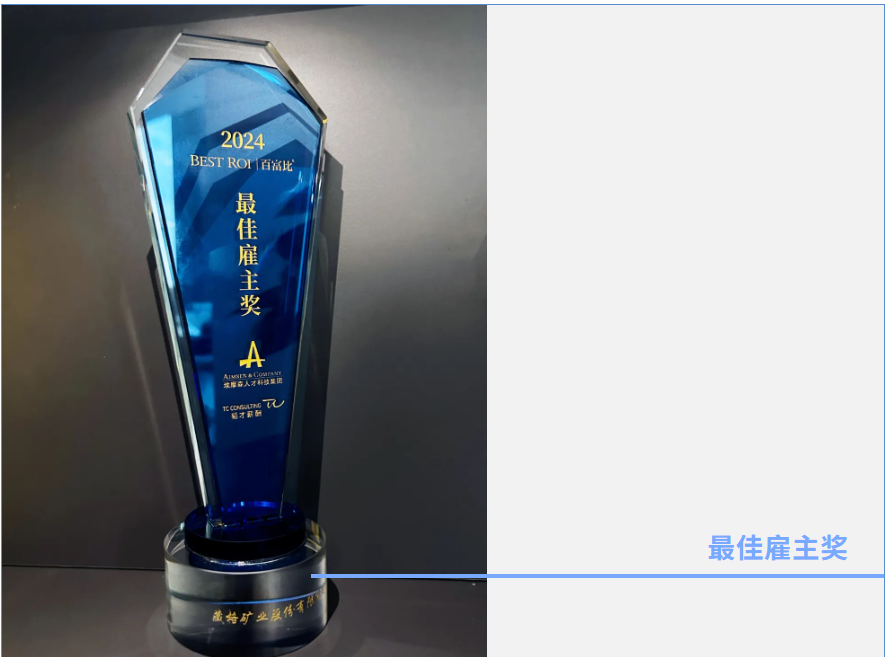 龙8头号玩家矿业荣获2024年埃摩森“最佳雇主奖”