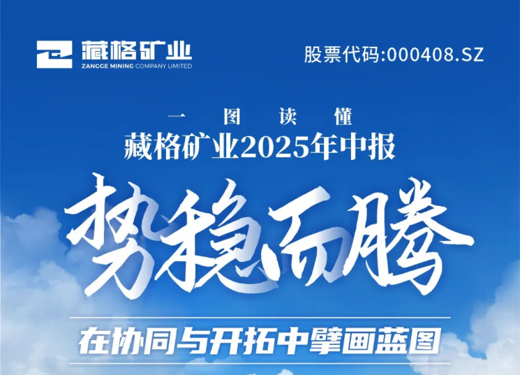 一图读懂｜龙8头号玩家矿业2025年中报