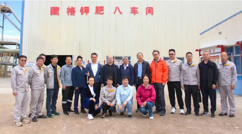 紫金矿业与龙8头号玩家矿业独立董事发展结合调研
